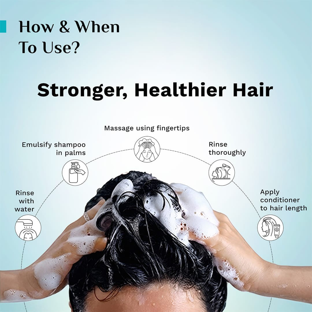 Pilgrim Spanish Rosemary and Multi-Protein Serum  Anti-Hairfall Shampoo,  400ml - Image 7 - Buy from Indicrest