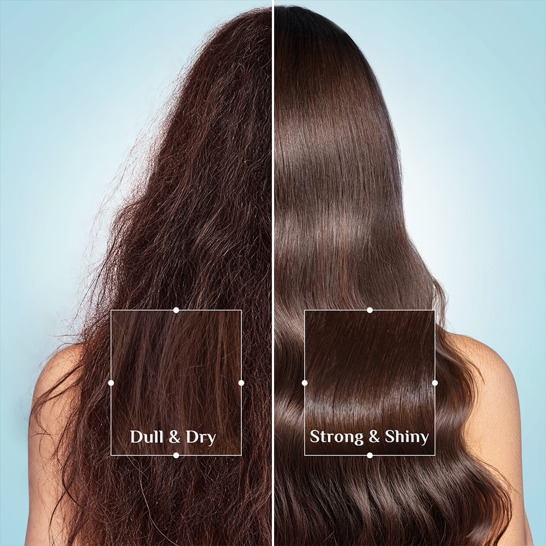 Pilgrim Argan Oil Hair Conditioner, 200ml - Image 6 - Buy from Indicrest