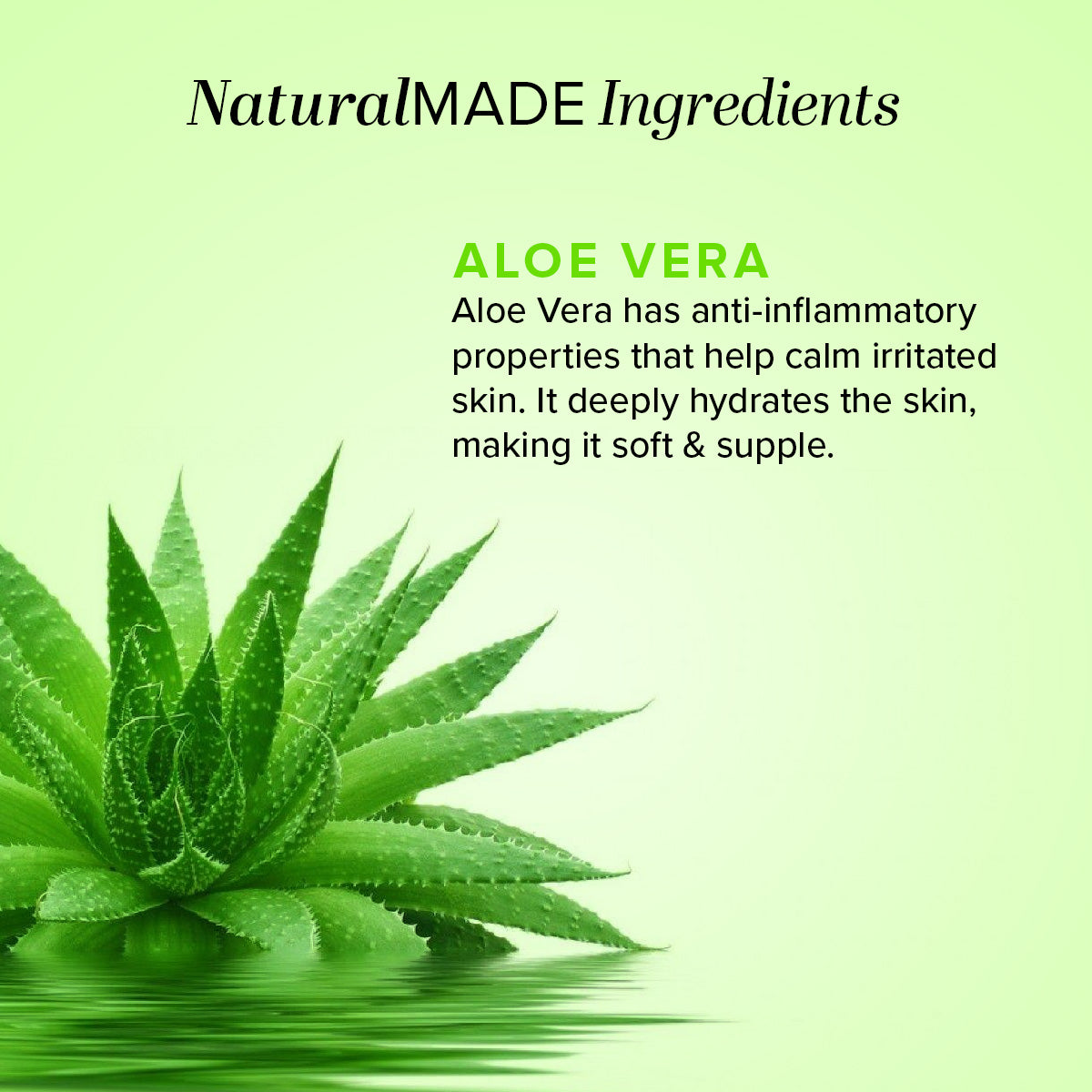 Khadi Natural Aloevera Soap Combo Pack Of 3 – 125gm Each - Image 8 - Buy from Indicrest
