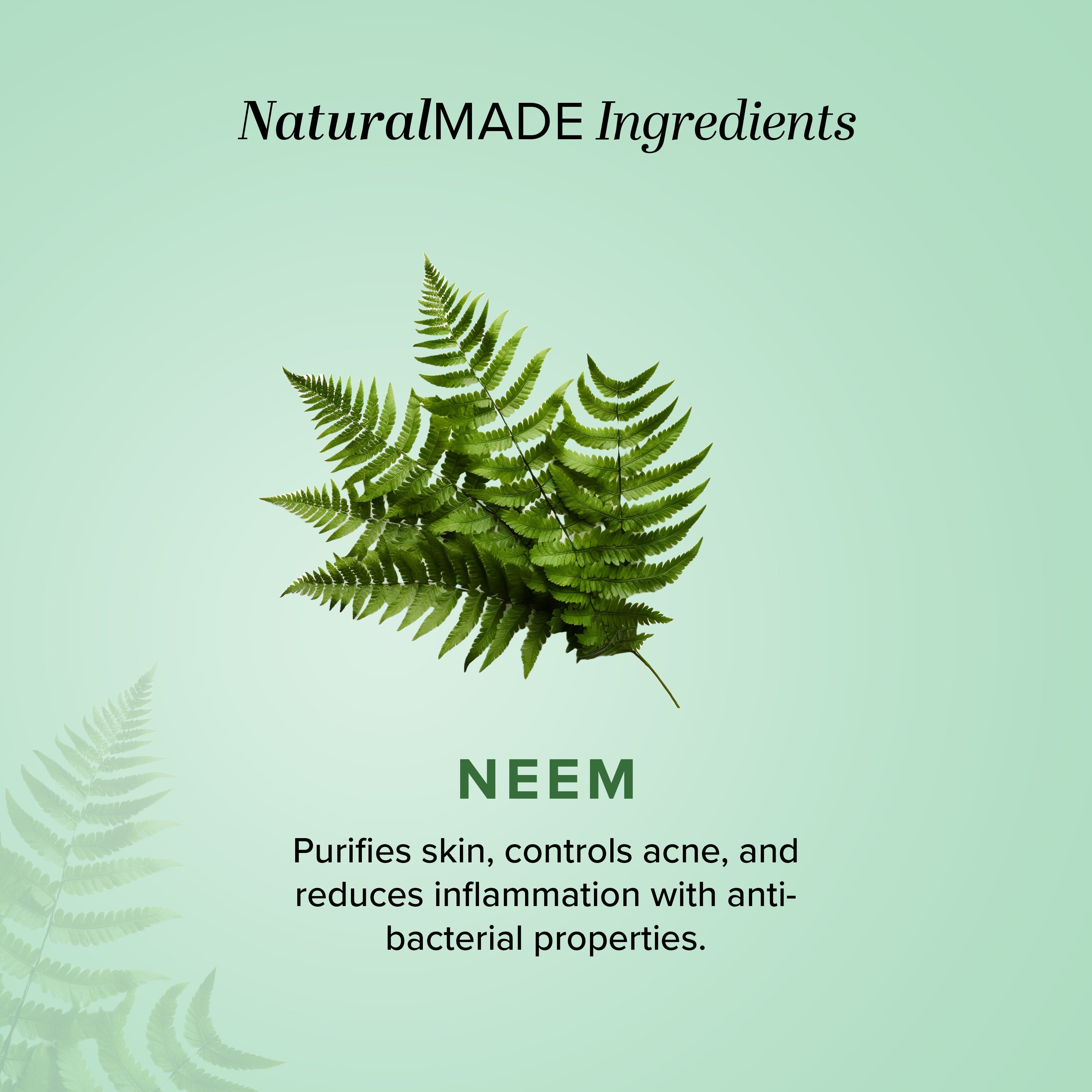 Khadi Natural Neem Tulsi Face Pack - 100gm - Image 3 - Buy from Indicrest