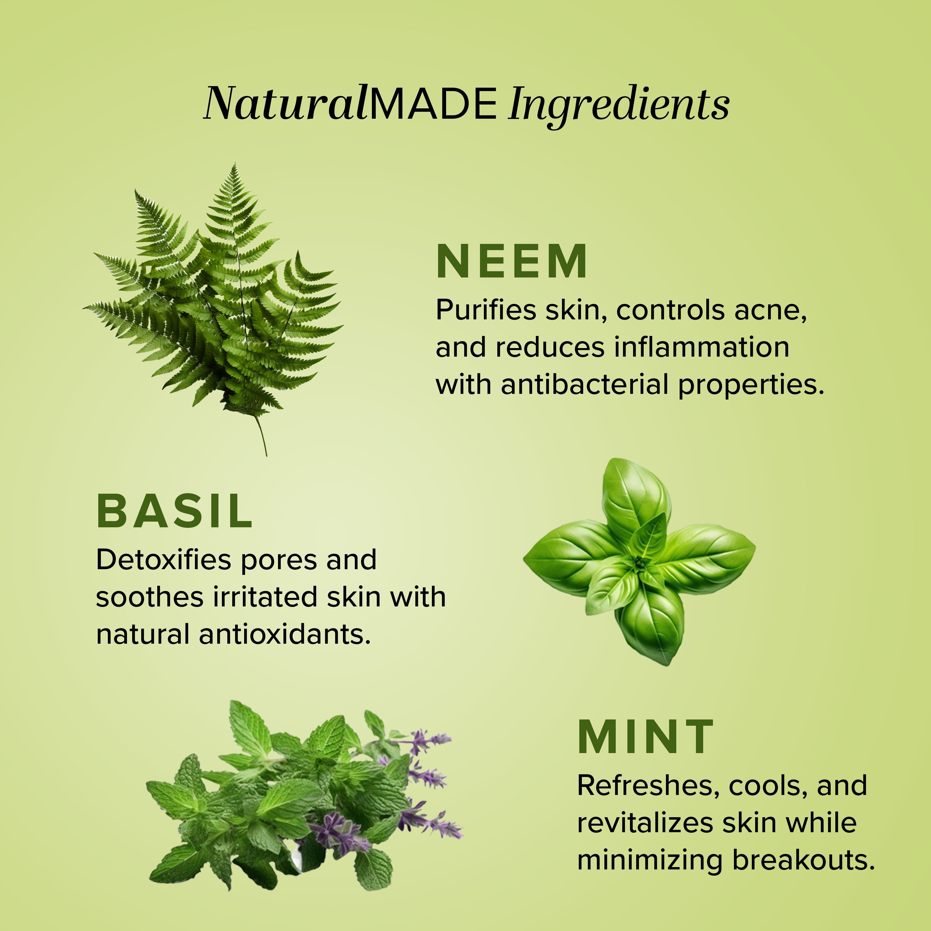 Khadi Natural Neem, Basil & Mint Face Pack - 100gm - Image 4 - Buy from Indicrest