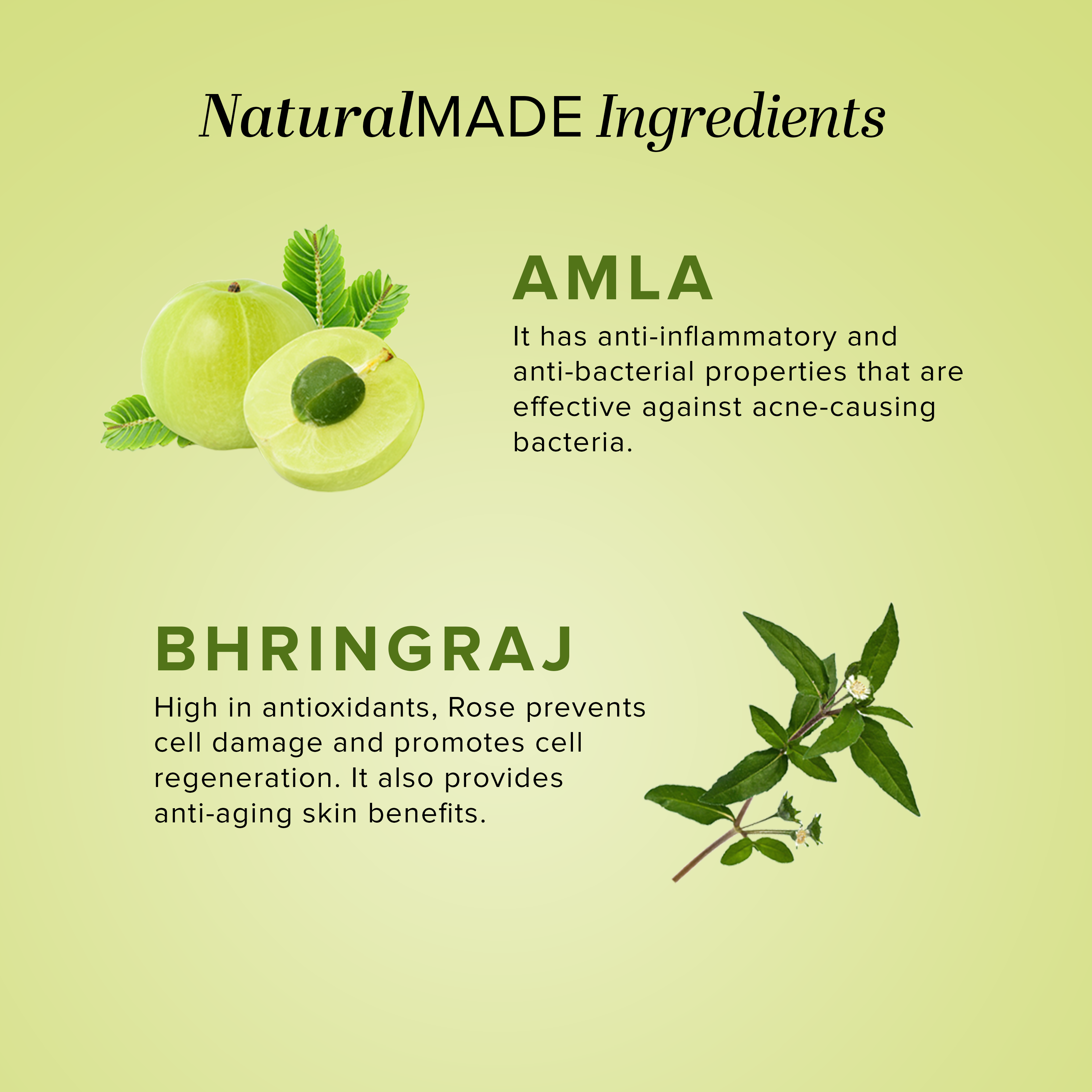 Khadi Natural Amla & Bhringraj Hair Cleanser - 210ml - Image 3 - Buy from Indicrest