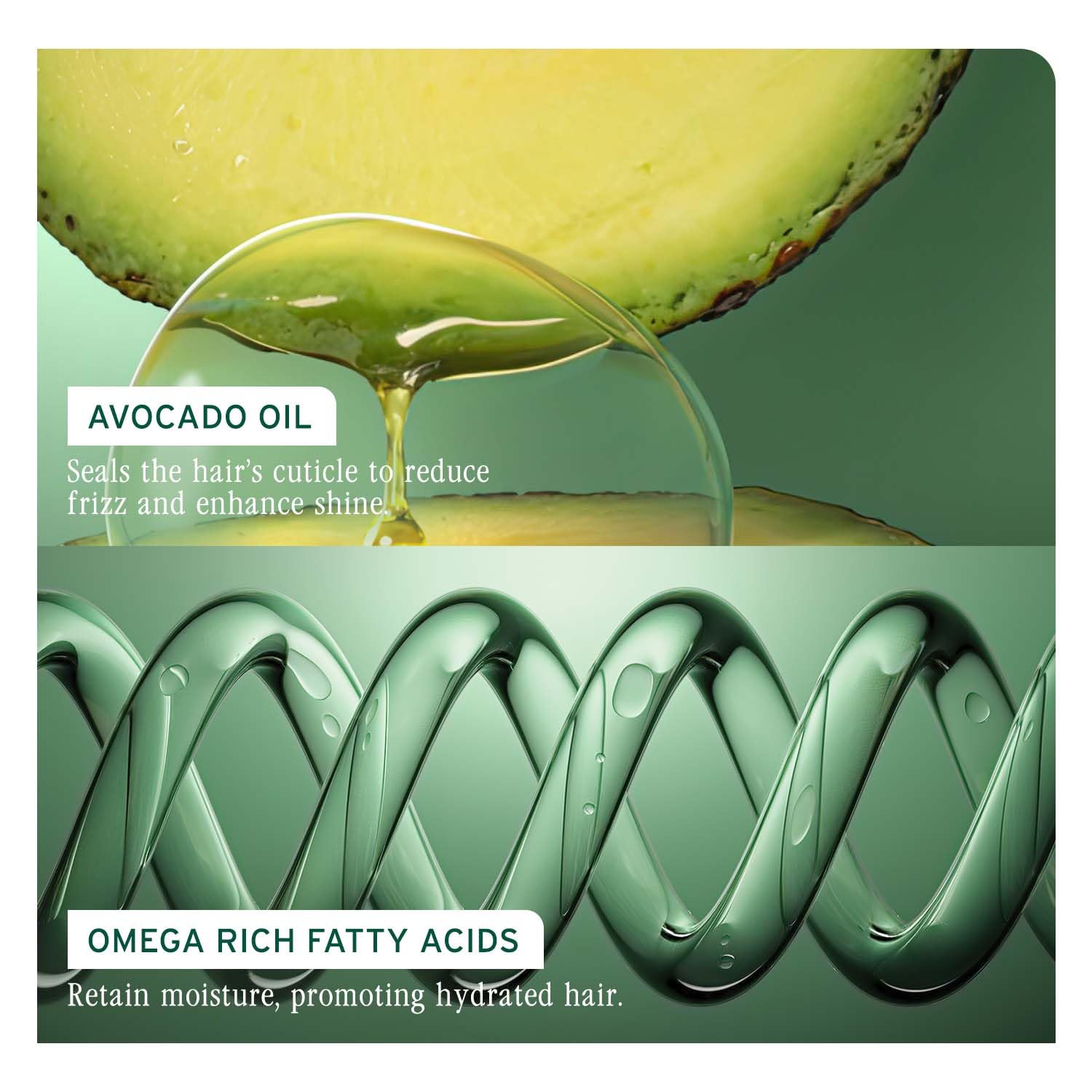 Biolage Smoothproof 6-in-1 Professional Hair Serum for Frizzy Hair |Deep Smoothening With Avocado & Grape Seed Oil | Natural & Vegan - Image 6 - Buy from Indicrest