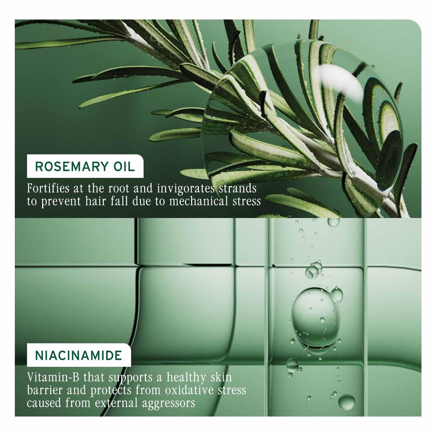 Biolage Professional Full Rescue Anti-Breakage Shampoo, 400ml + Conditioner, 236g Combo With Bamboo