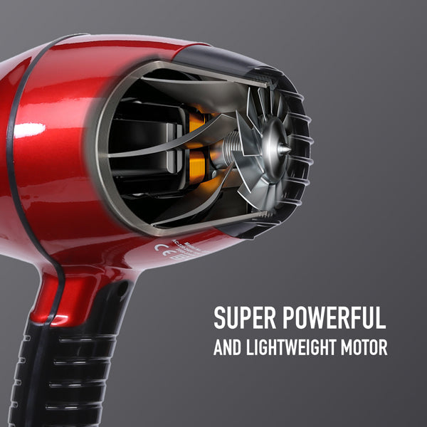 Ikonic Professional Pro 2200 Hair Dryer