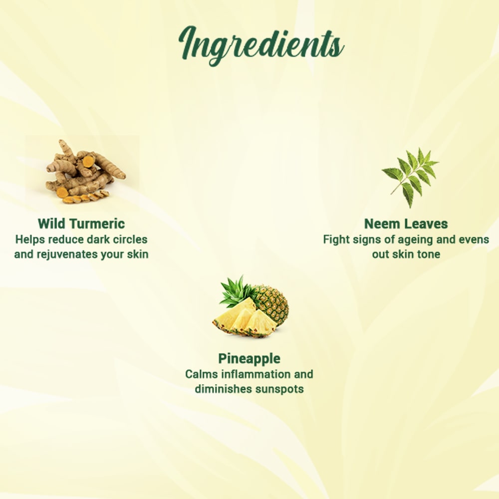 Biotique Pineapple Oil Control Foaming Face Wash, 100ml - Image 4 - Buy from Indicrest
