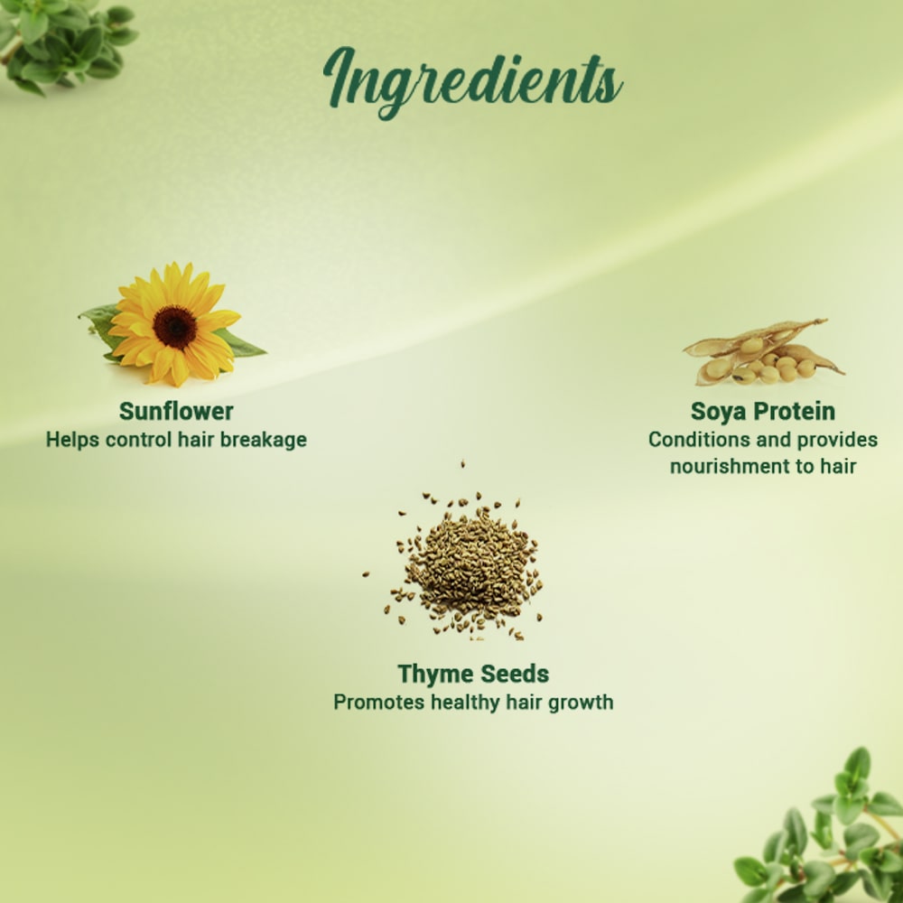 Biotique Thyme Volume & Bounce Conditioner, 200ml - Image 3 - Buy from Indicrest