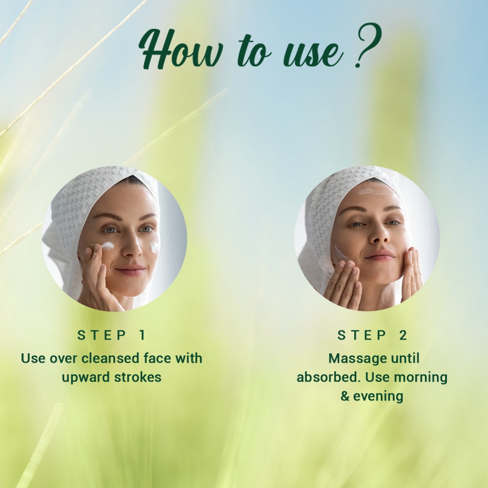 Biotique Wheatgerm Anti-Ageing Night Cream, 50g - Image 8 - Buy from Indicrest