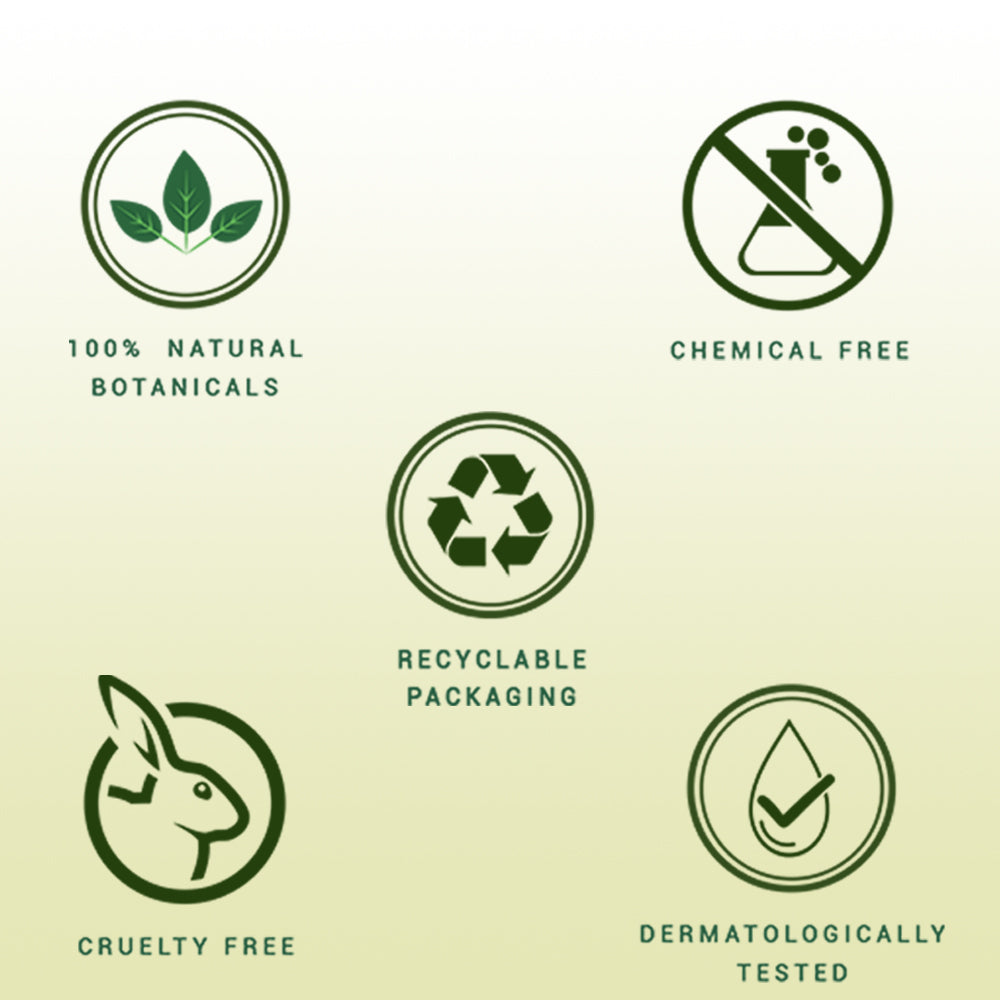 Biotique Walnut Volume & Bounce Shampoo and Conditioner, 500ml - Image 3 - Buy from Indicrest