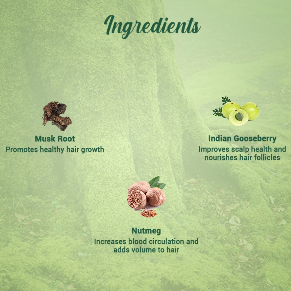 Biotique Musk Root Hair Mask, 230g - Image 4 - Buy from Indicrest