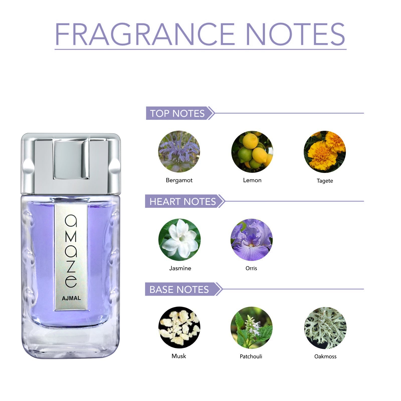 AMAZE Perfume 100ML for Men - Image 2 - Buy from Indicrest