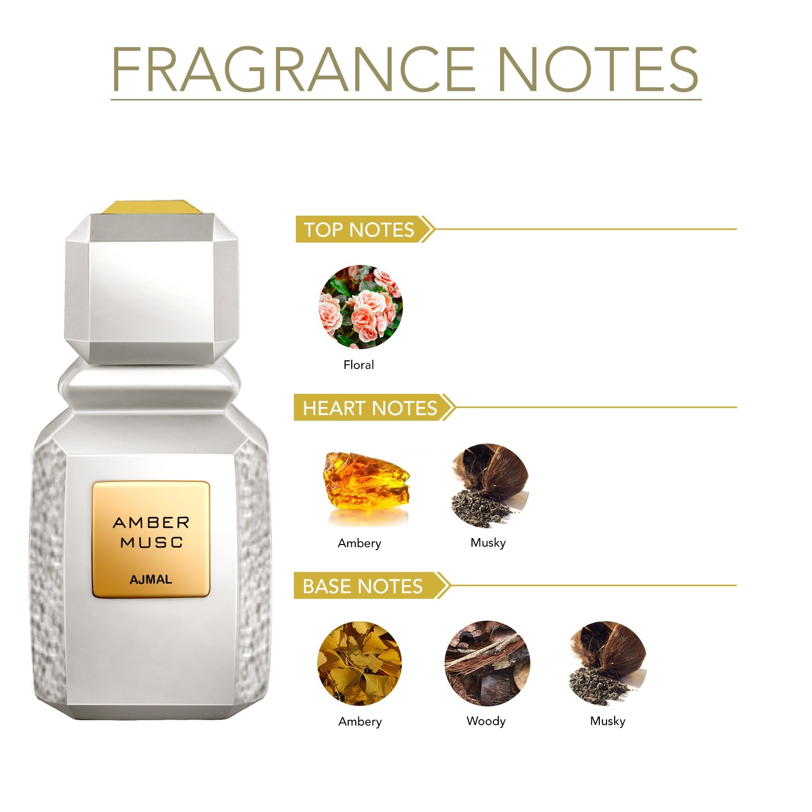 AMBER MUSC Perfume 100ML for Men & Women - Image 2 - Buy from Indicrest