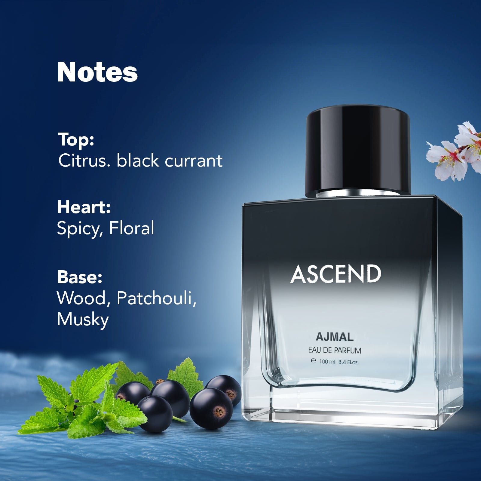 ASCEND Perfume 100ML for Men & Women - Image 5 - Buy from Indicrest
