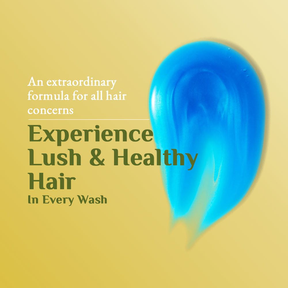 Richfeell Shampoo with Arnica 500 ml (Pack of 2) - Image 6 - Buy from Indicrest