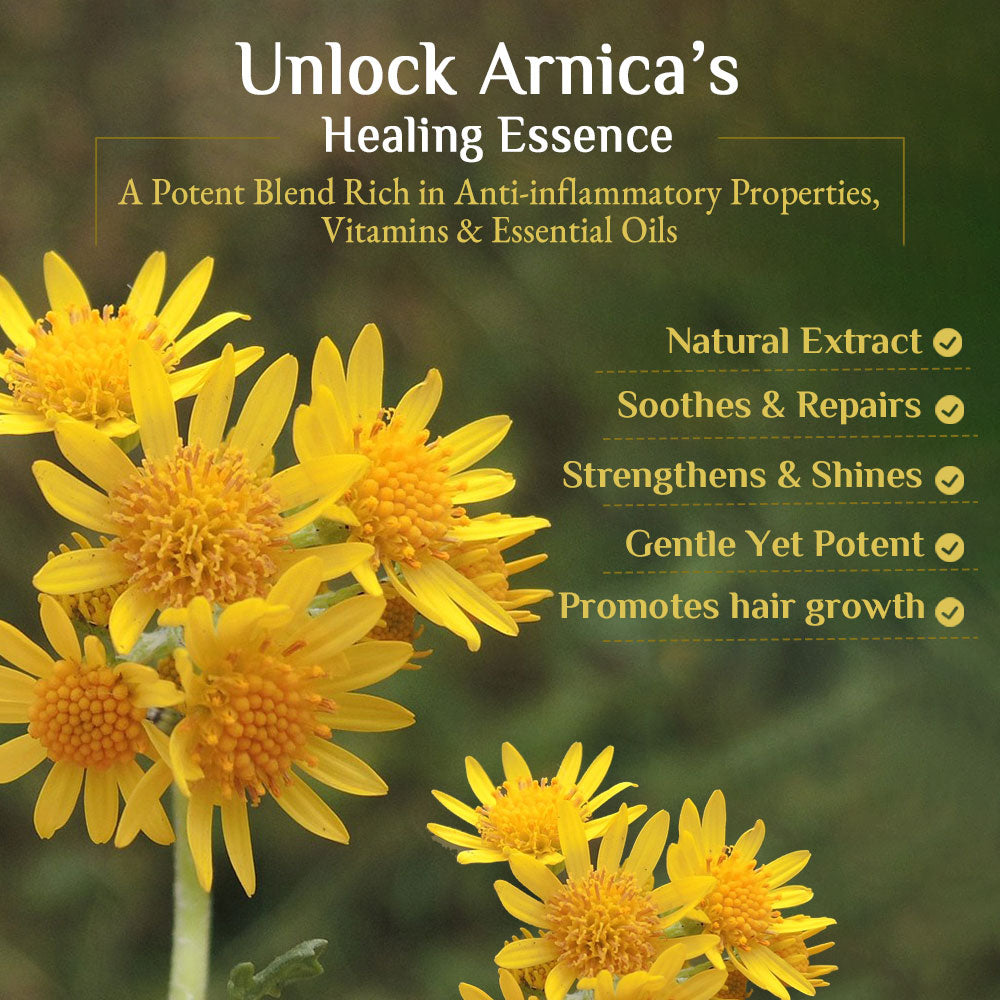Richfeell Shampoo with Arnica 500 ml (Pack of 2) - Image 3 - Buy from Indicrest