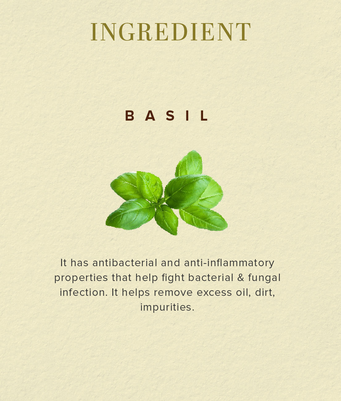 Khadi Natural Herbal Basil Scrub Soap 125gm - Image 3 - Buy from Indicrest