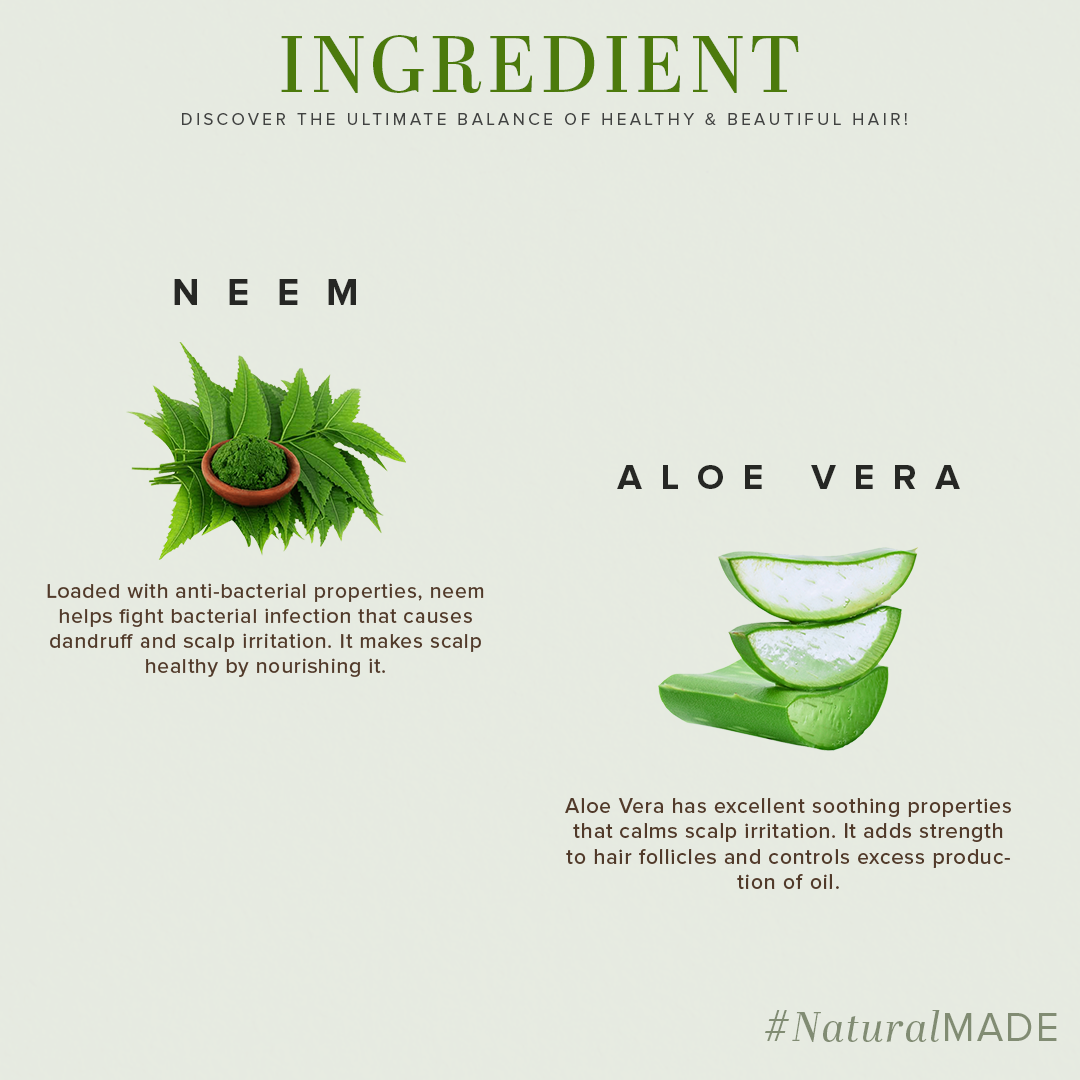 Khadi Natural Aloe Intense Cleanse  Pack of 2 Hair Care Combo of Cleanser & Conditioner - 210ml Each - Image 3 - Buy from Indicrest