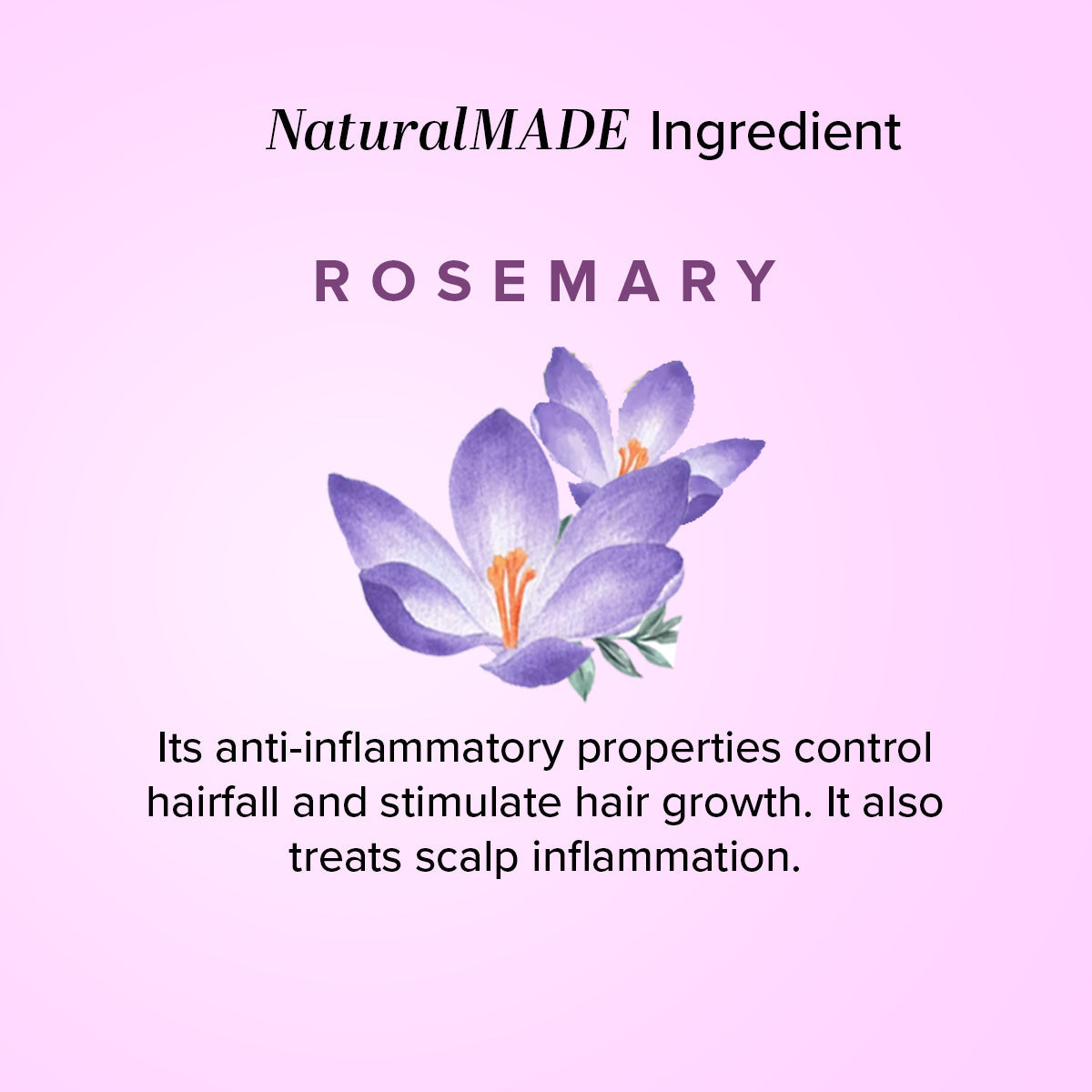 Khadi Natural Herbal Rosemary Essential Oil - 15ml - Image 3 - Buy from Indicrest