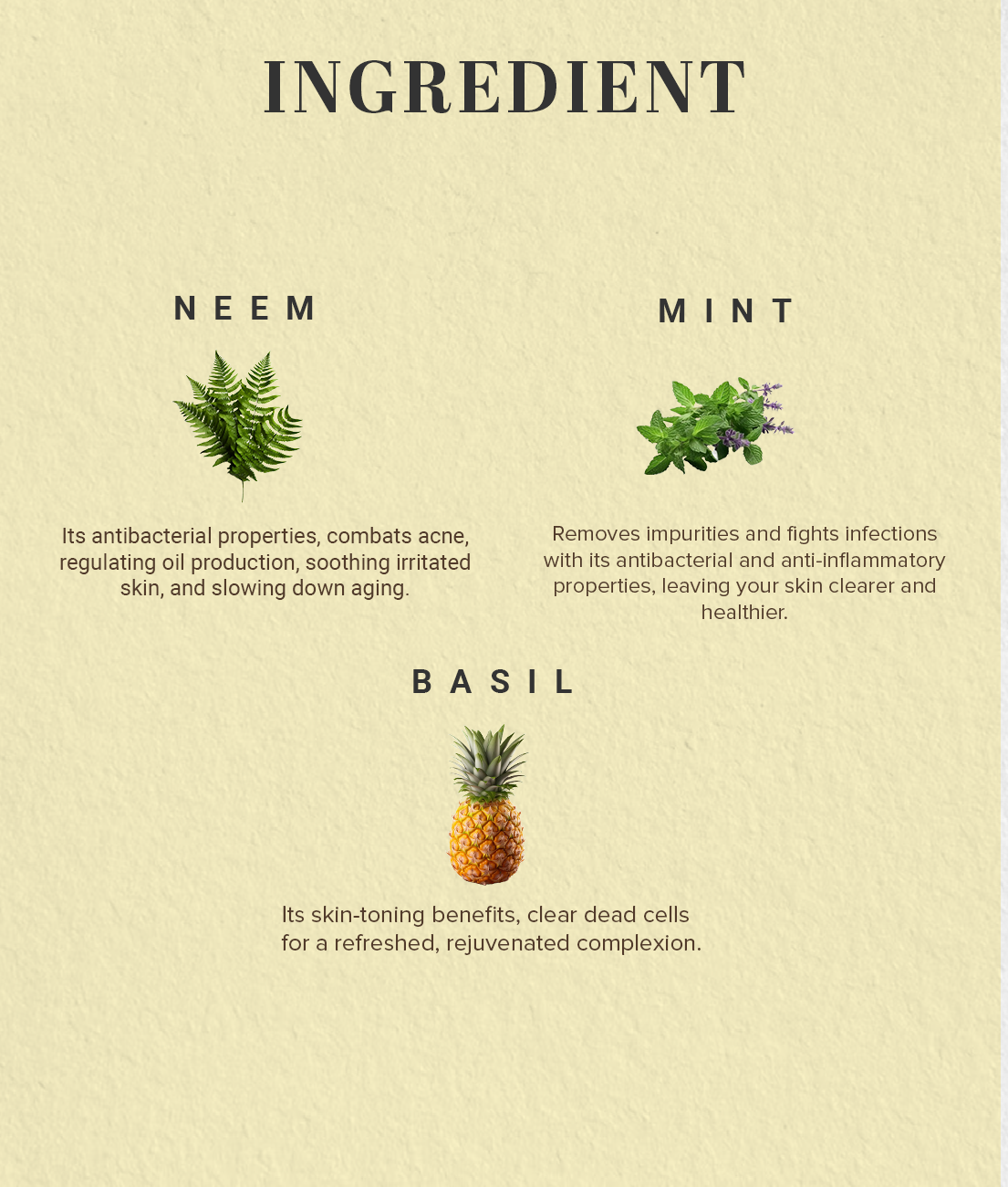 Khadi Natural Neem Basil & Mint Anti Acne Face Pack - 50gm - Image 3 - Buy from Indicrest
