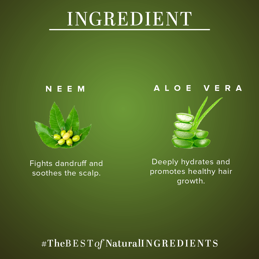 Khadi Natural Neem & Aloe Vera Hair Cleanser - Paraben, Silicones, Sulphate, Color, Salt & Artificial Fragrance Free - 310ml - Image 3 - Buy from Indicrest