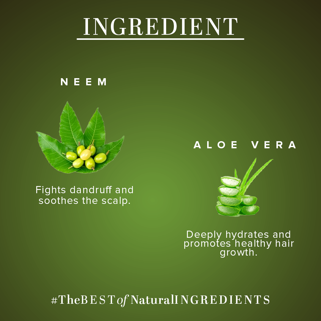 Khadi Natural Neem & Aloe Vera Hair Conditioner - Paraben, Silicones, Sulphate, Color, Salt & Artificial Fragrance Free - 310ml - Image 3 - Buy from Indicrest