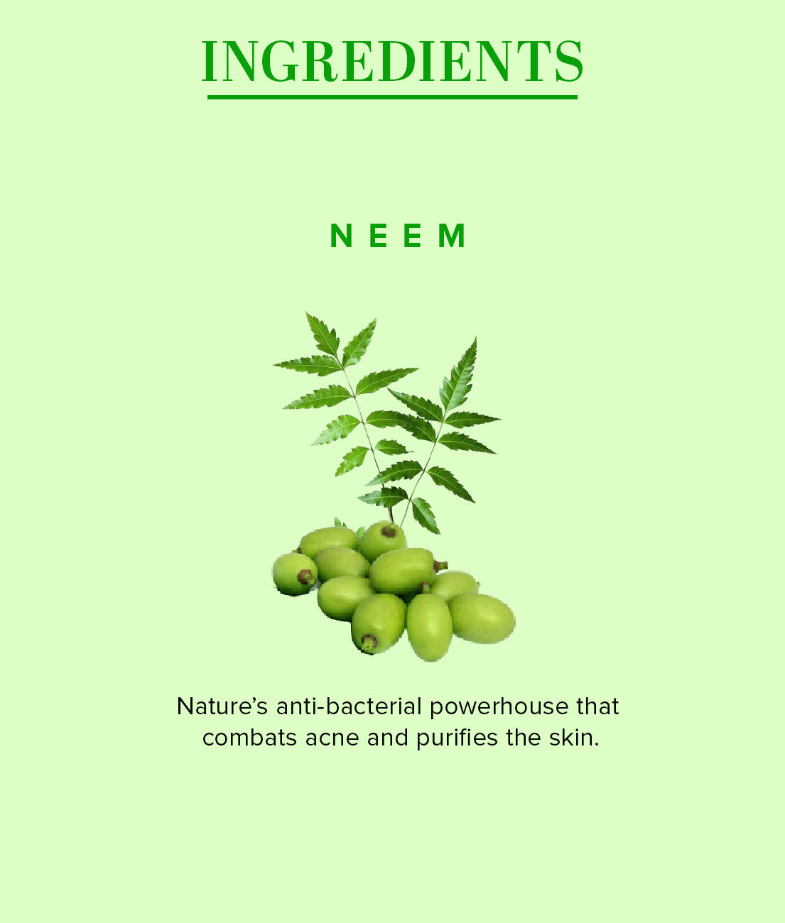 Khadi Natural Neem Face Wash SLS & Paraben Free - 100gm - Image 5 - Buy from Indicrest