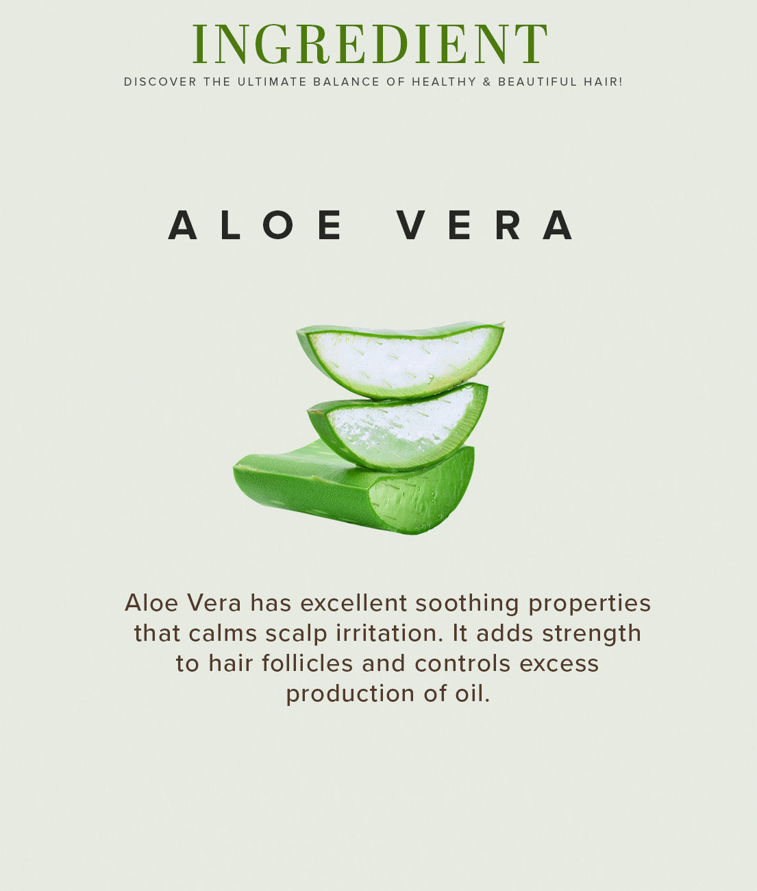 Khadi Natural Aloe Vera Hair Conditioner - 210ml Sale - Image 3 - Buy from Indicrest