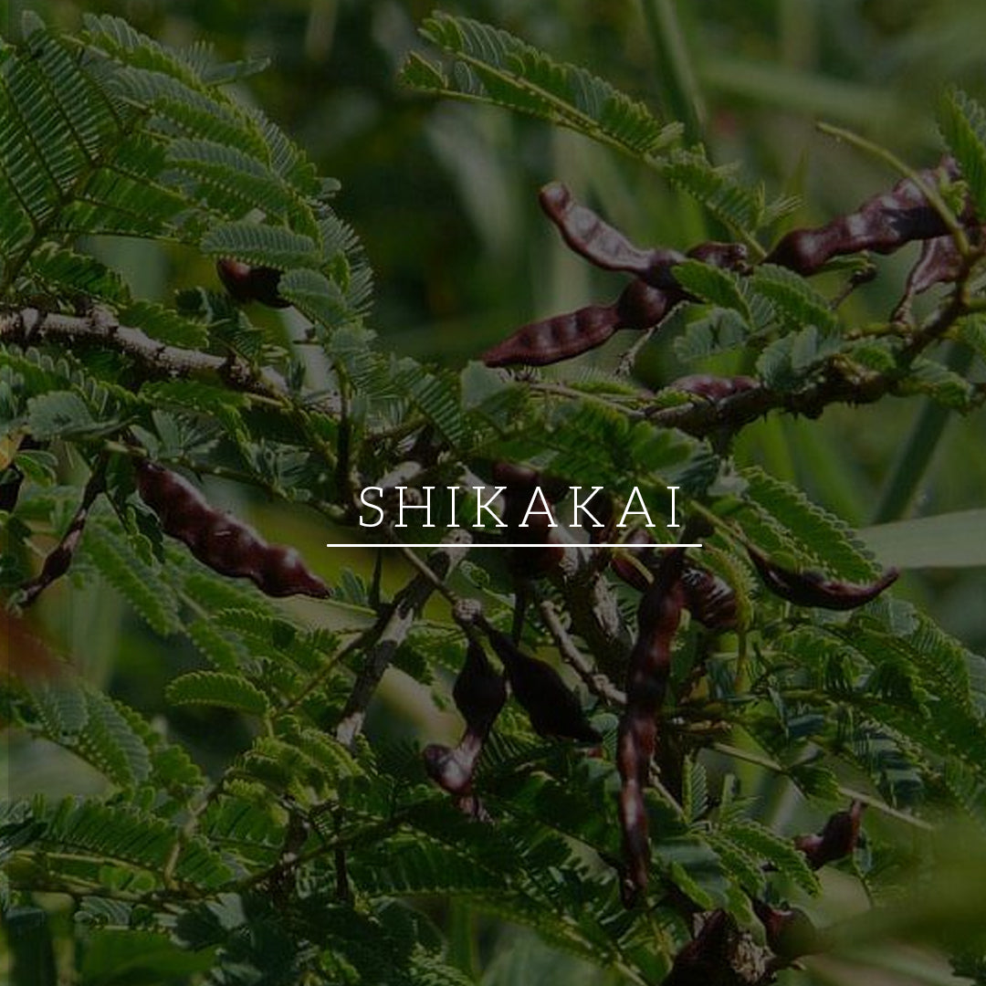 Khadi Natural Shikakai & Honey Shampoo - Powered Botanics - 310ml - Image 4 - Buy from Indicrest