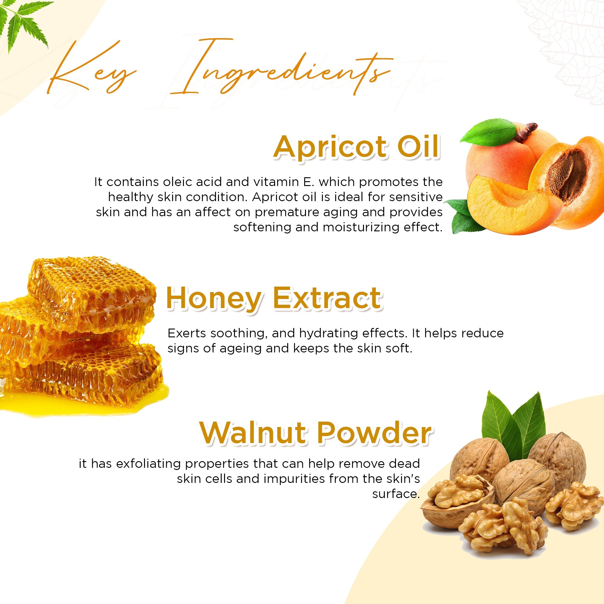 Astaberry Apricot Scrub | Face Scrub - Image 4 - Buy from Indicrest