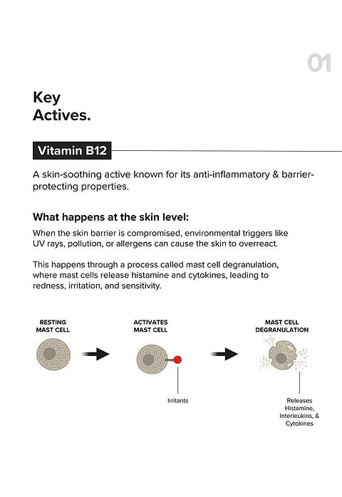 Minimalist B12 + Repair Complex 5.5% Face Moisturizer For Soothes sensitive, irritate skin and repairs damaged barrier, 30g - Image 6 - Buy from Indicrest