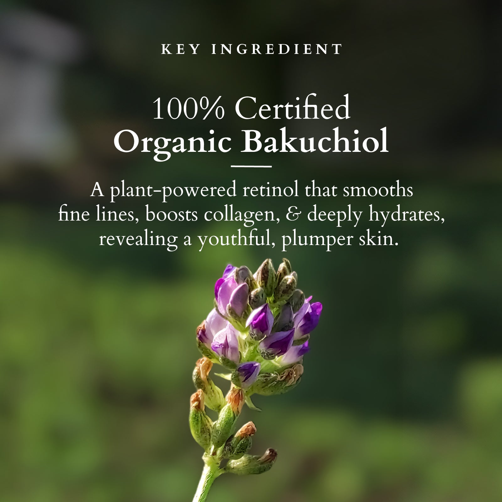 Lotus Herbals Bakuchiol Plant Retinol Miracle Face Oil, 15ml