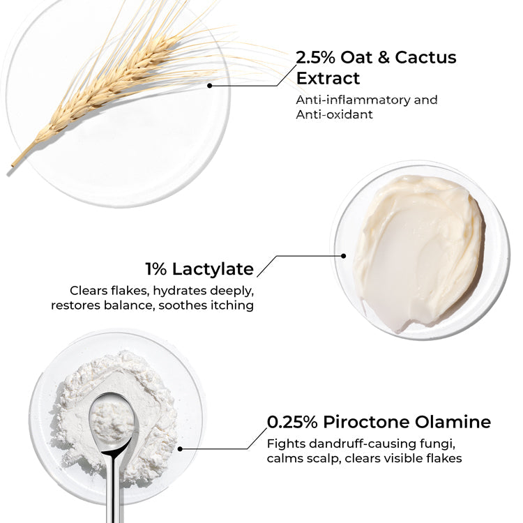 Brillare Lactylate & Piroctone Olamine Scalp Serum for Dandruff Control, 30ml - Image 4 - Buy from Indicrest
