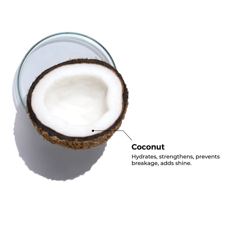 Brillare Pure Coconut Oil, 200ml - Image 4 - Buy from Indicrest
