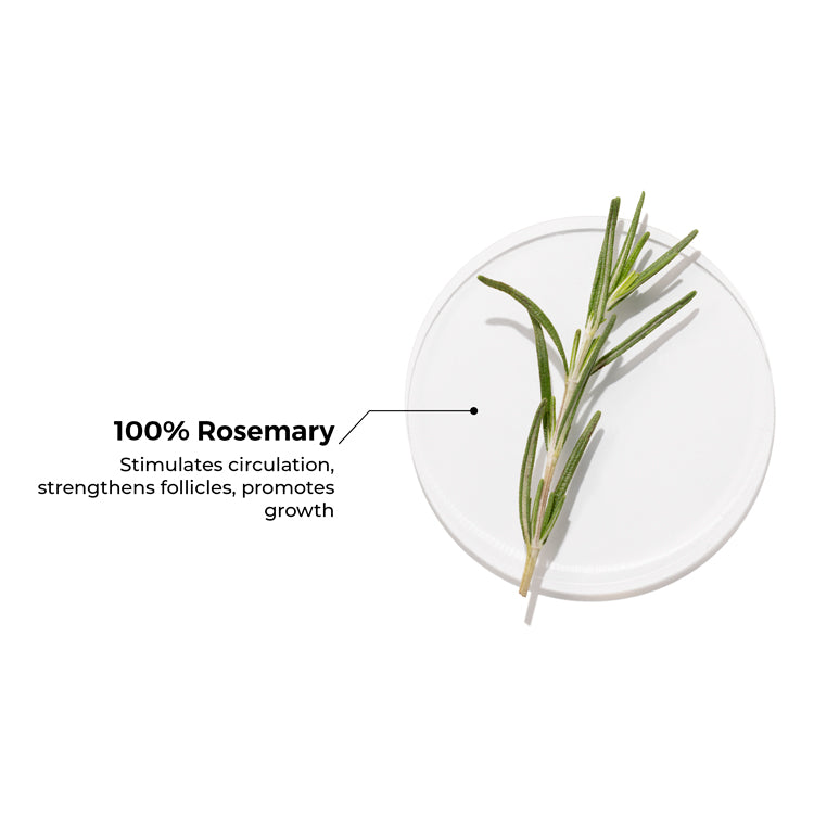 Brillare 100% Rosemary Essential Oil for Hair Growth, 15ml - Image 4 - Buy from Indicrest