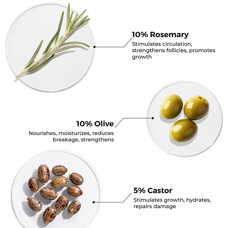 Brillare Rosemary Hair Oil for Hair Growth, 100ml - Image 4 - Buy from Indicrest