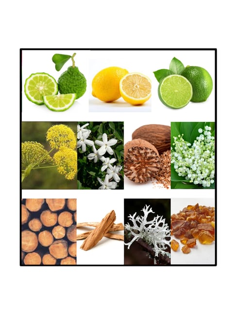 Buy Fila Red Eau De Toilette 100 ml