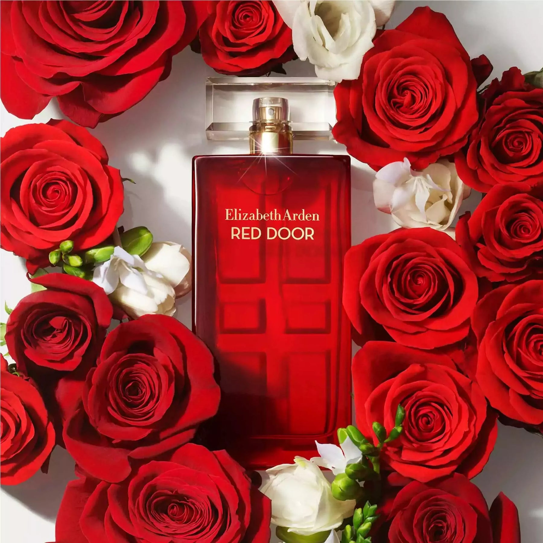Buy Red Door by Elizabeth Arden Perfume 100 ml