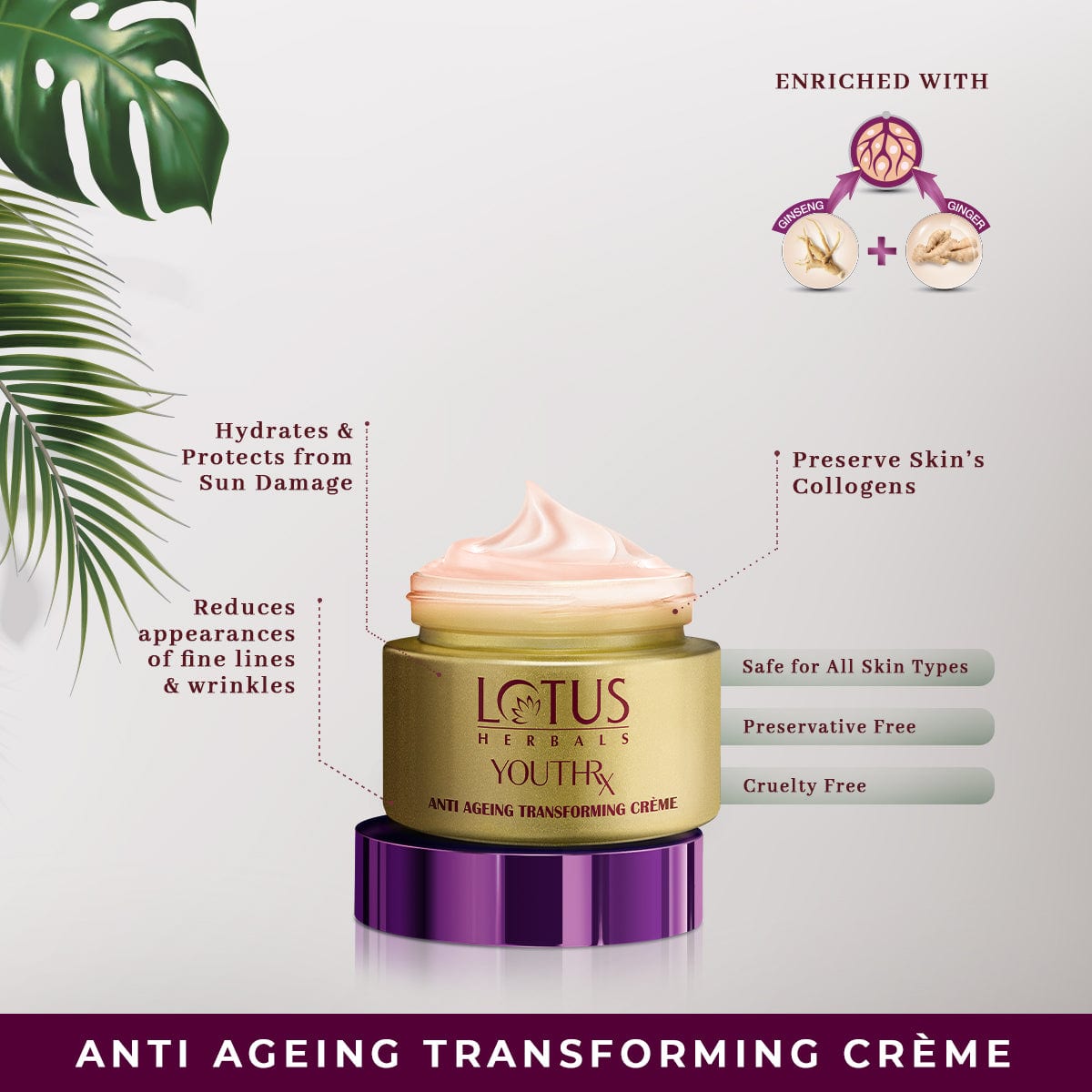 Lotus Herbals YouthRX Wrinkle Defense Combo, Day Creme 50g + Night Creme 50g
