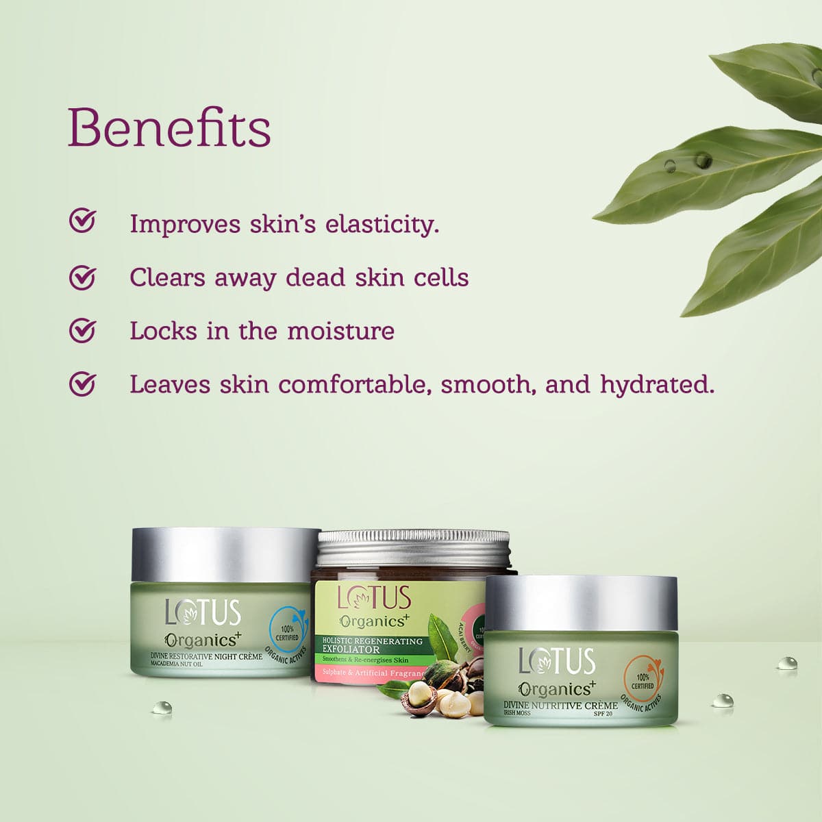 Lotus Herbals Divine Day and Night Rejuvenation Regime, 50g + 50g + 100g