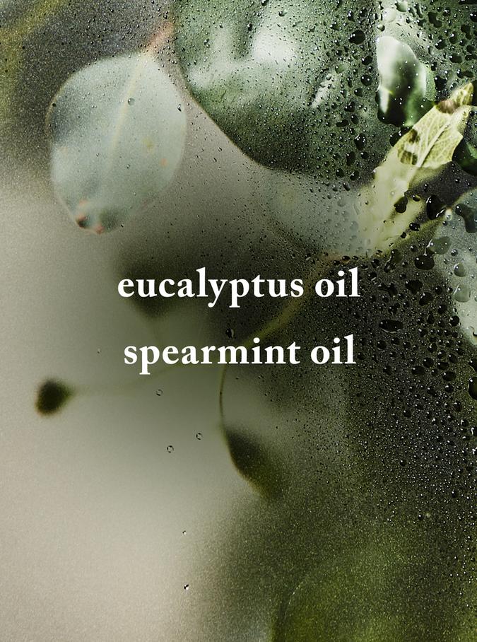 Bath & Body Works Eucalyptus Spearmint Gift Set, Set of 4 Buy at Indicrest Image 3