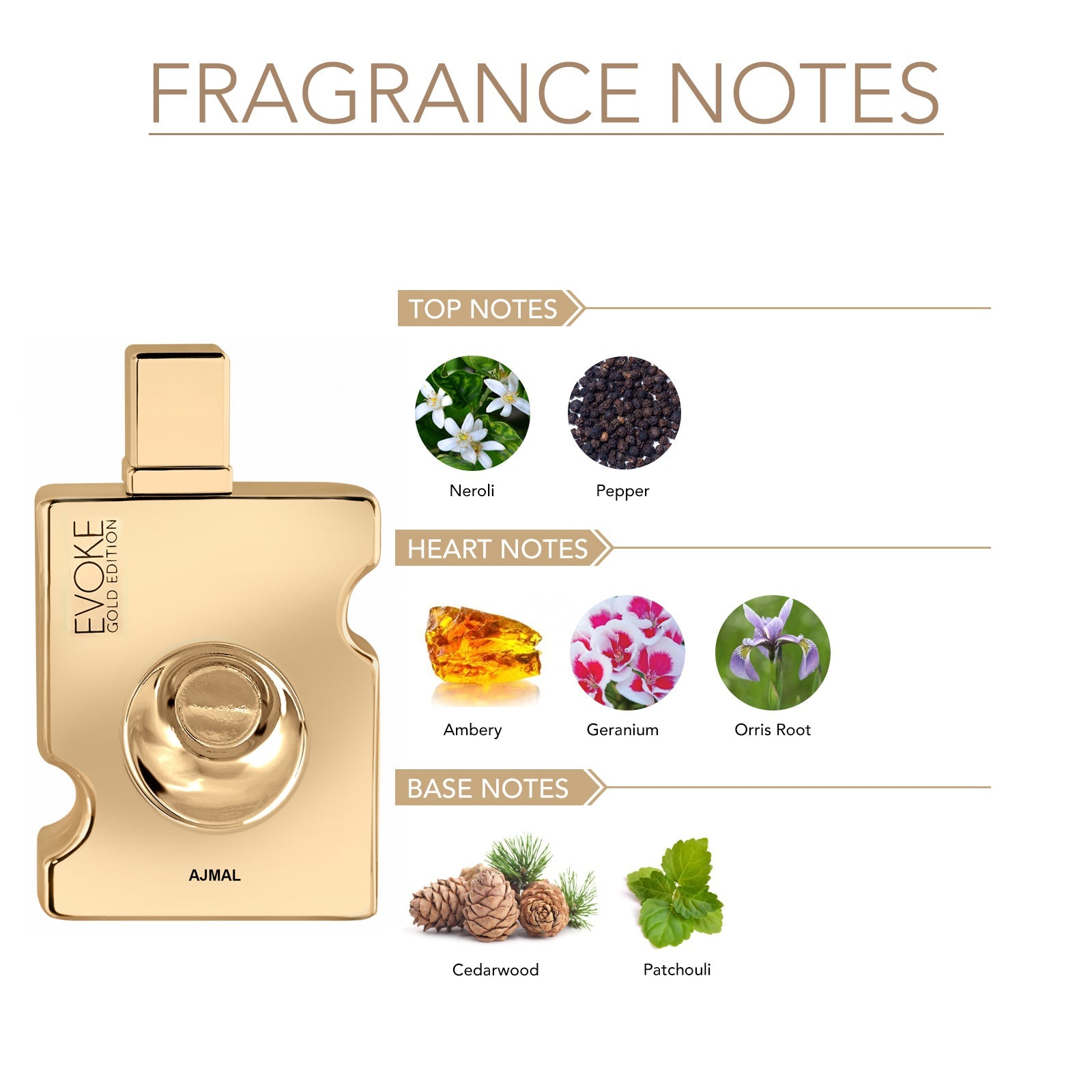 EVOKE GOLD EDITION Perfume 90ML for Men - Image 2 - Buy from Indicrest