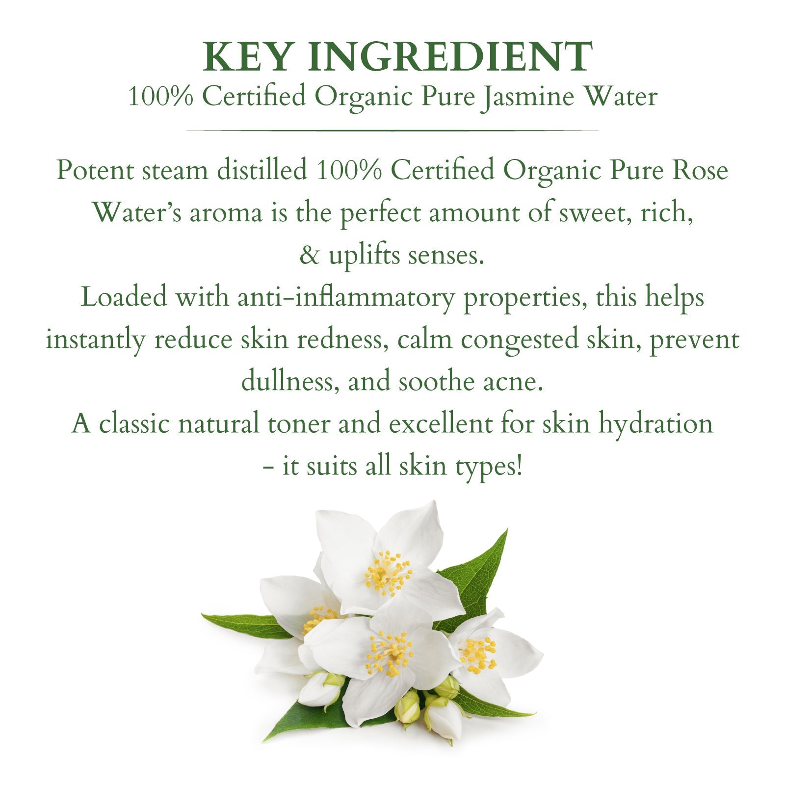 Lotus Herbals Organics+ 100% PURE JASMINE FLORAL WATER, 50ml