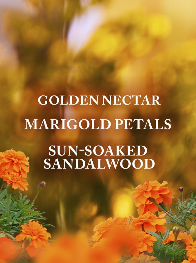 Bath & Body Works Gingham Glow Travel Size Body Wash, 88 ml / 3 fl oz