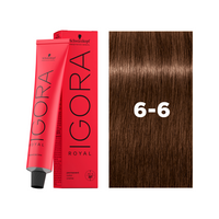 6-6 Dark Blonde Chocolate