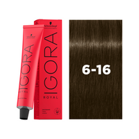 6-16 Dark Blonde Cendré Chocolate