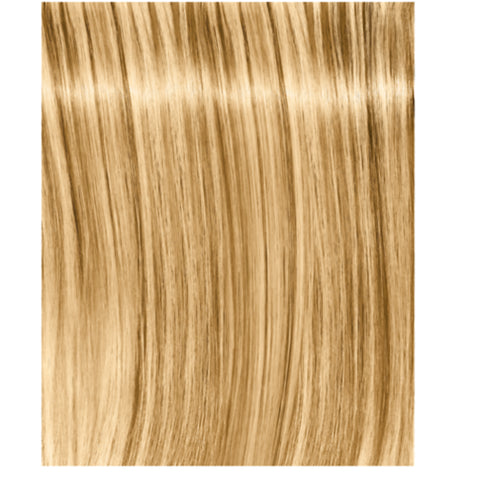 IGORA ROYAL Absolutes (6-60) dark blonde chocolate Indicrest