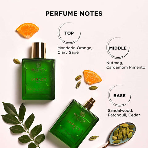 Day To Night Perfume Combo - 3 x 100ml - Image 6 - Indicrest