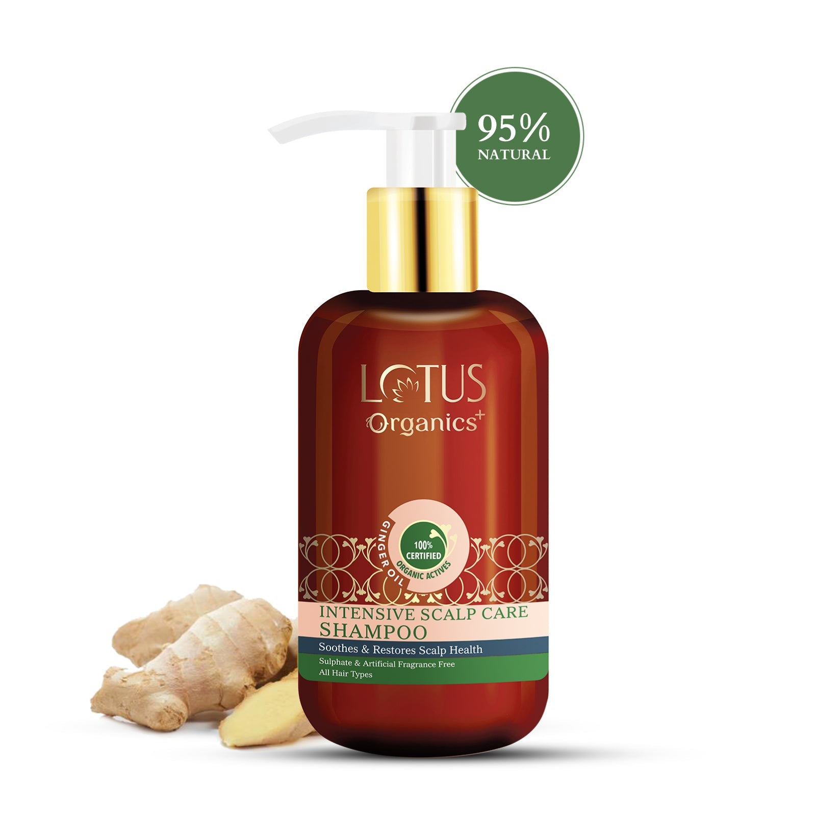 Lotus Herbals Organics+ Intensive Scalp Care Shampoo, 210ml