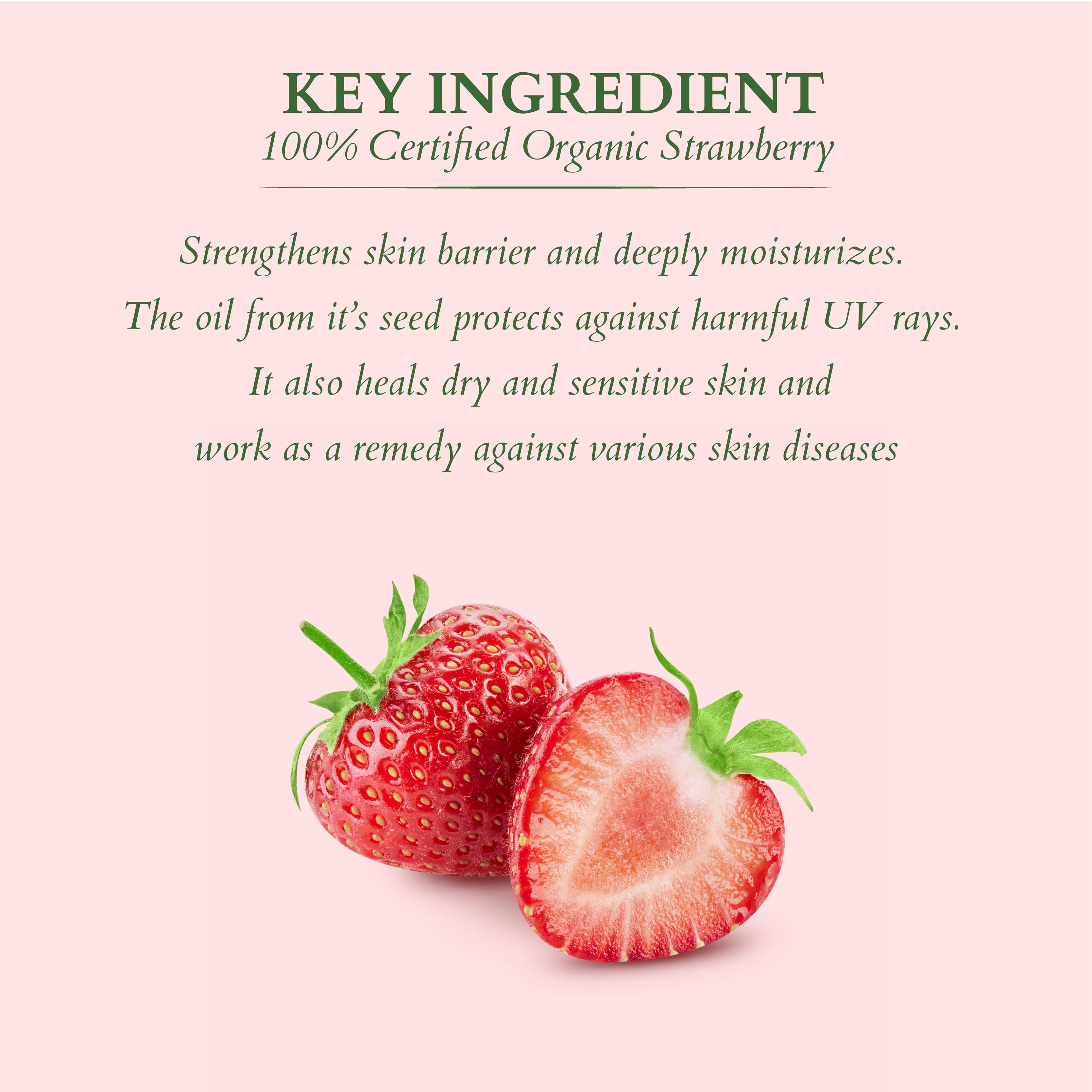 Lotus Herbals Organics+ Juicy Berry Lip & Cheek Tint, 10g