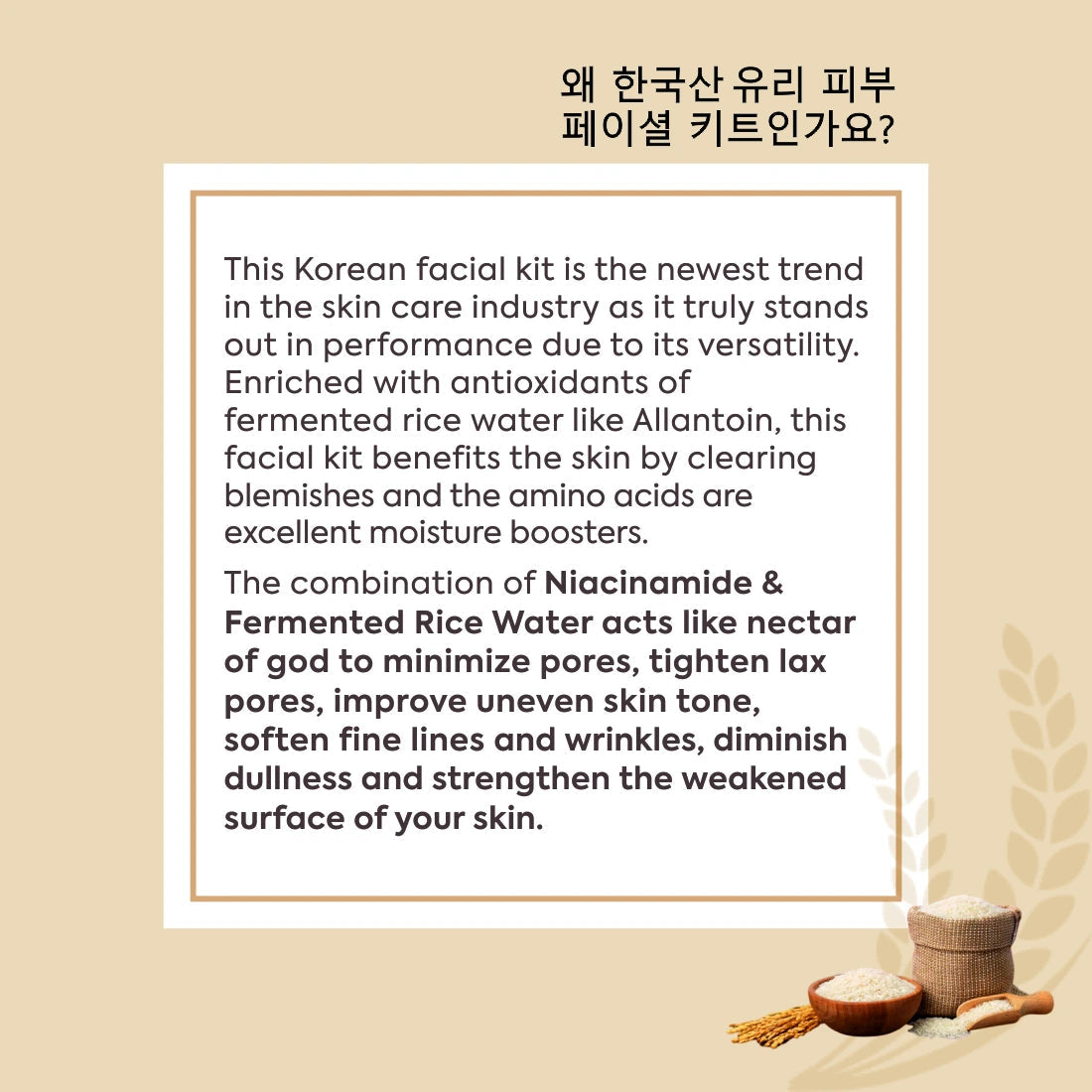 FYC Professional Korean Glass Skin Rice Water Facial Kit, 9 Steps 183g